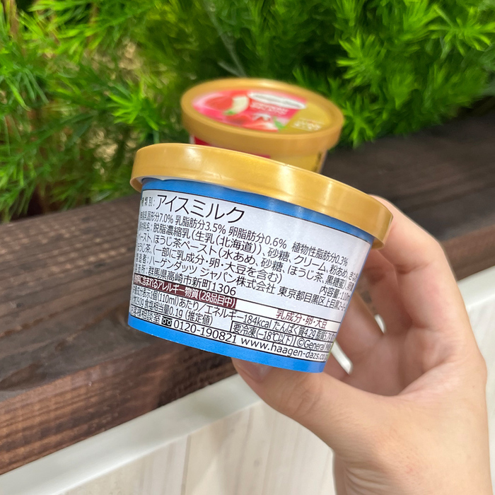 ハーゲンダッツのクリーミージェラート2025⑬