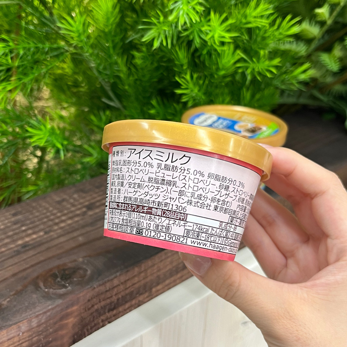 ハーゲンダッツのクリーミージェラート2025⑫