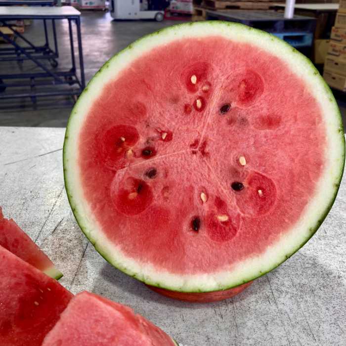 函南西瓜の断面