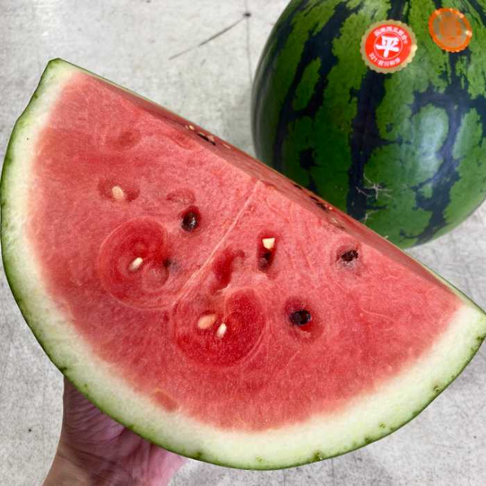 函南西瓜の断面②