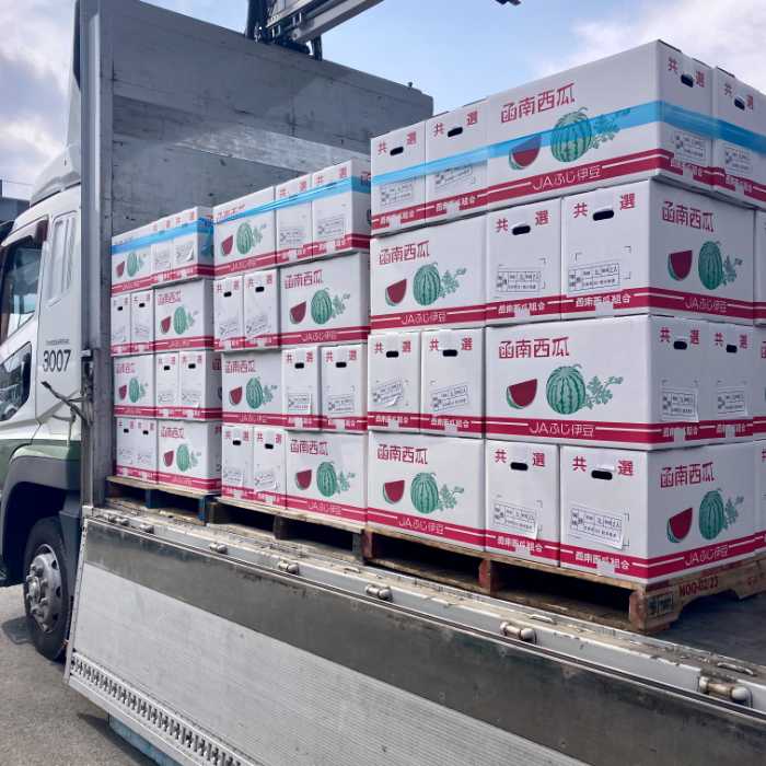 函南西瓜の出荷風景②