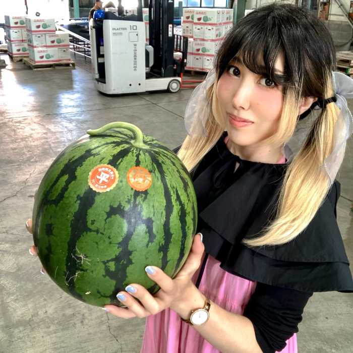 函南西瓜の優3L②