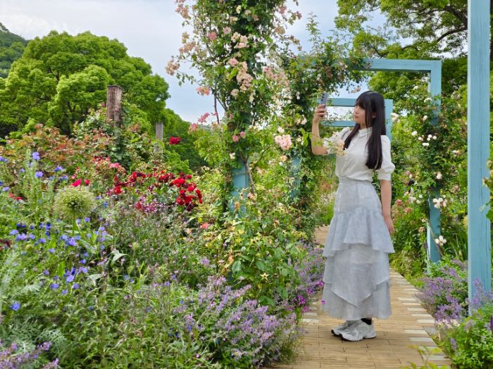 Samsungアカオフォレストの花