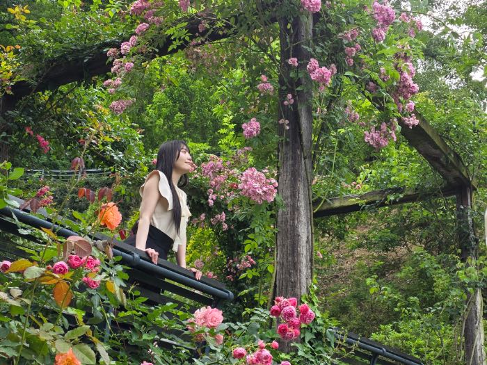 Samsungアカオフォレストの風景撮影2