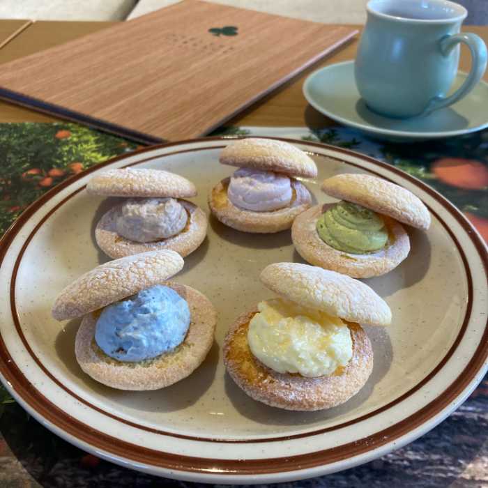 掛川森林果樹公園アトリエテラスのできたて大砂丘