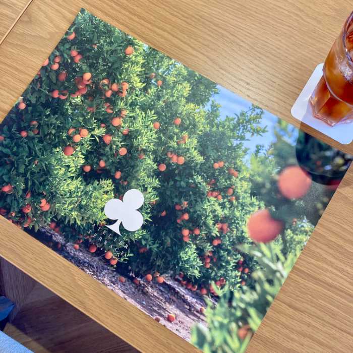 掛川森林果樹公園アトリエテラスのランチョンマット