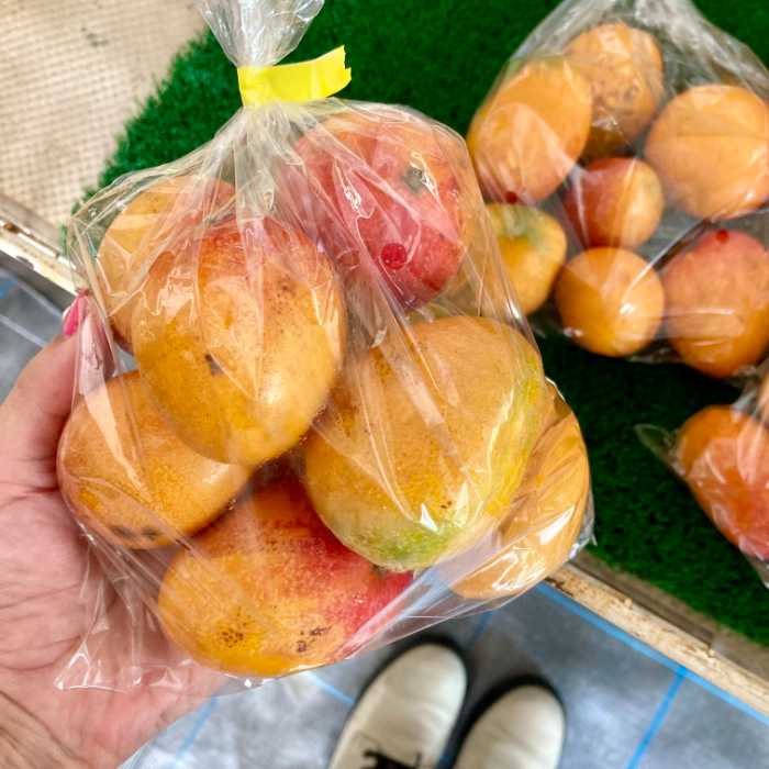 ダイヤマンゴーの袋詰めミニマンゴー