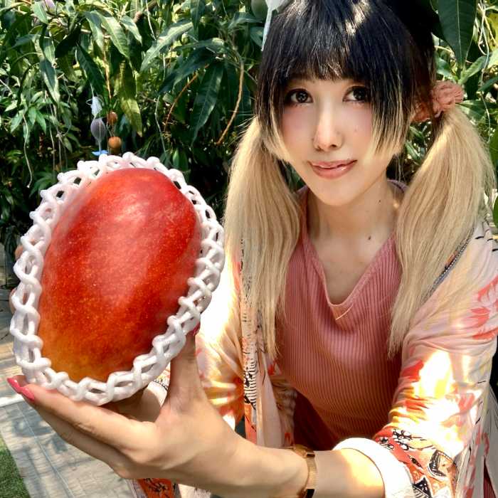 今年最大最重量のダイヤマンゴー②