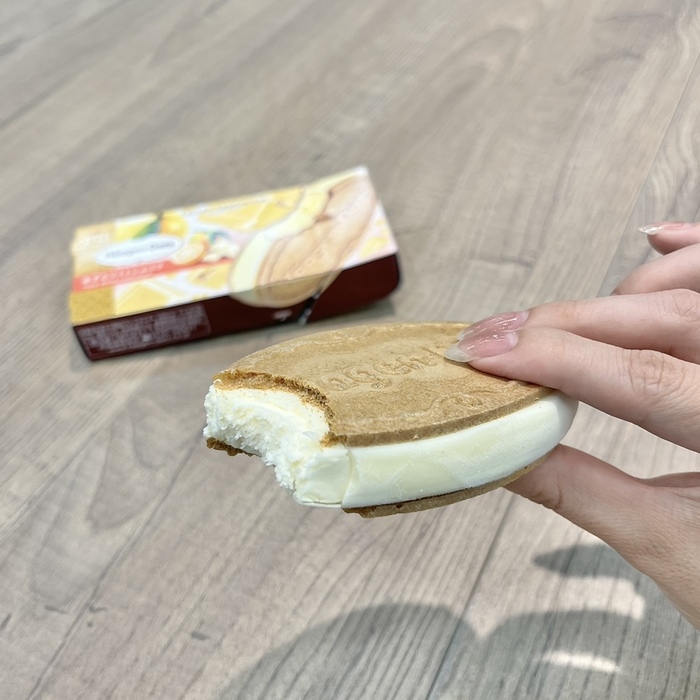 ハーゲンダッツのゆずホワイトショコラ⑤