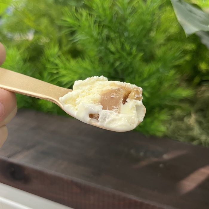 ハーゲンダッツのマロン＆クレームシャンティ⑥