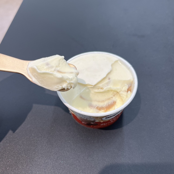 ハーゲンダッツのマロン＆クレームシャンティ④