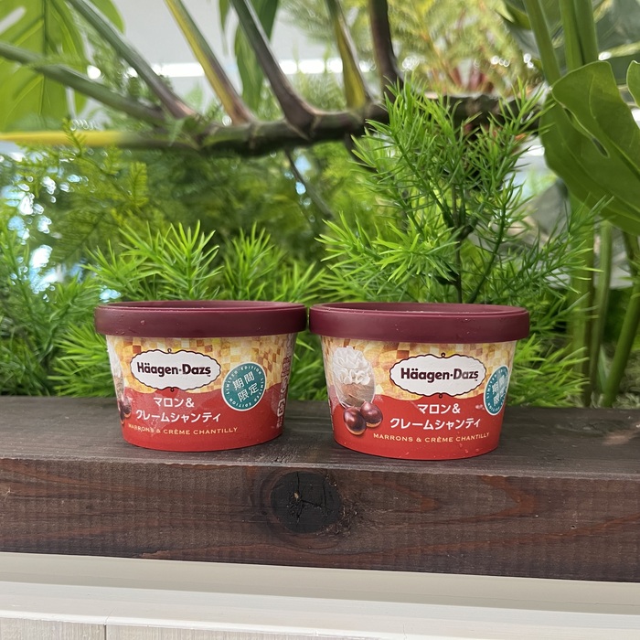 ハーゲンダッツのマロン＆クレームシャンティ⑦