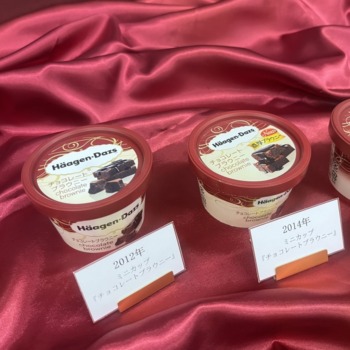 ハーゲンダッツのガナッシュショコラ③