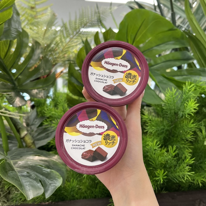 ハーゲンダッツのガナッシュショコラ⑩