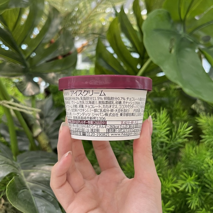 ハーゲンダッツのガナッシュショコラ⑪