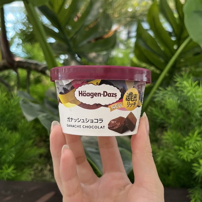 ハーゲンダッツのガナッシュショコラ⑥