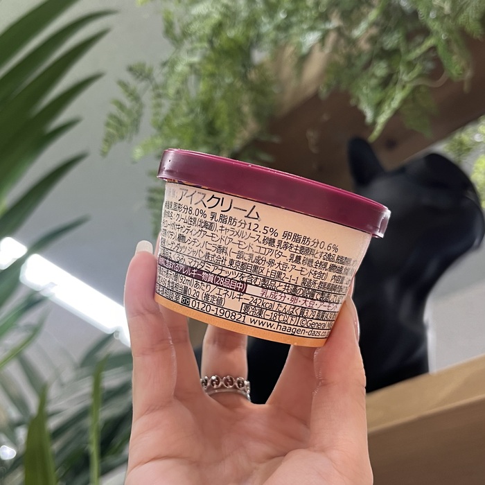 ハーゲンダッツのクランチアーモンドキャラメル⑨