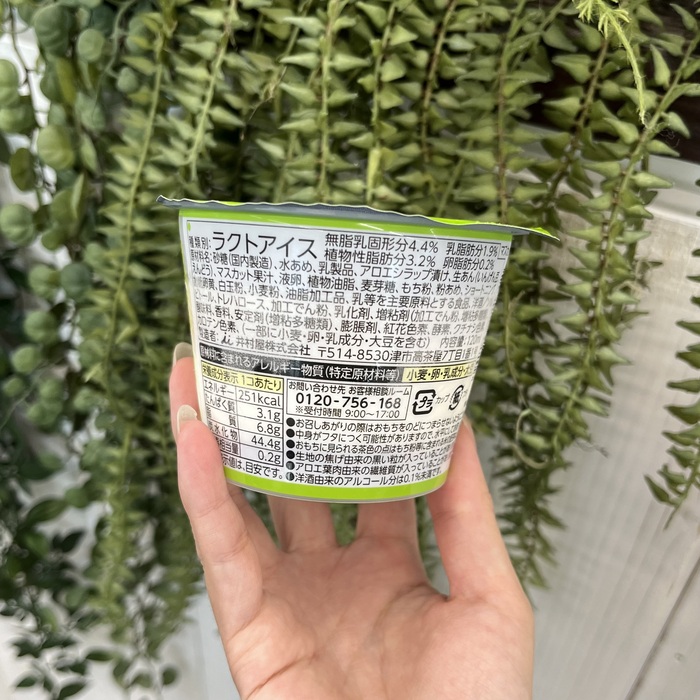 井村屋のやわもちアイス パフェ マスカット⑨