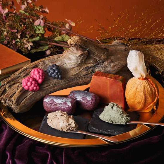 LUSHが贈る秋の自然派コスメ24種♡新スキンケアコレクション登場：cocotte