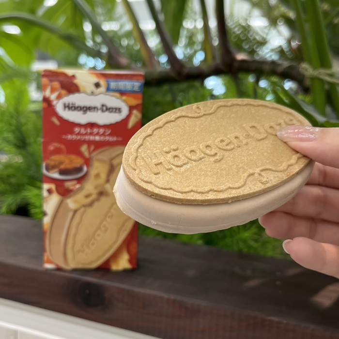 ハーゲンダッツのタルトタタン④