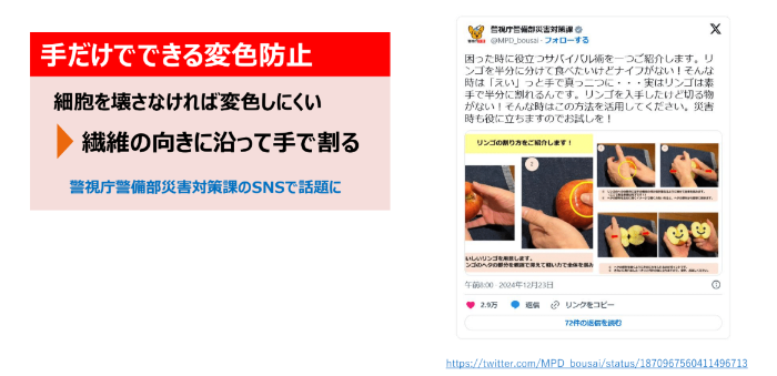 リンゴセミナーのスライド③