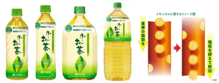 お~いお茶カテキン緑茶の詳細②