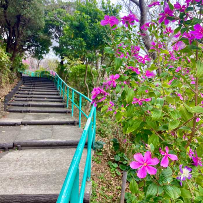 寝姿山の遊歩道