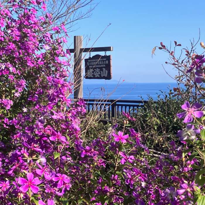 寝姿山プレミアムサインの絶景フォトスポット