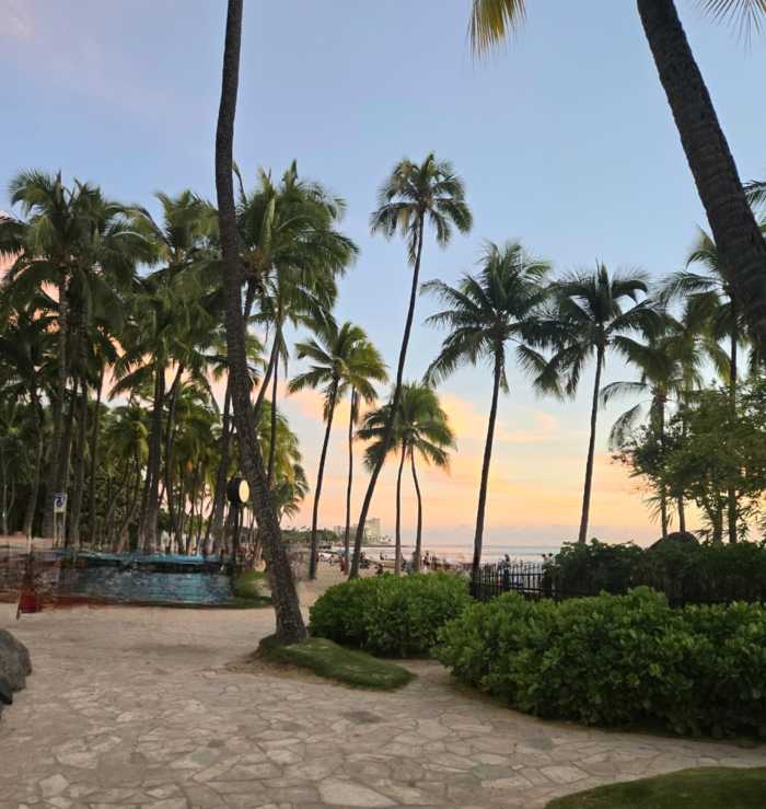 ワイキキビーチ