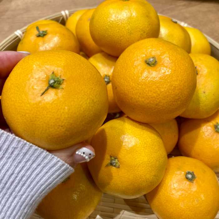 味っ子研究会の西海みかん味まる