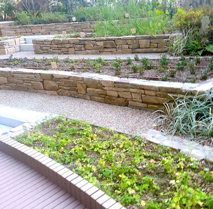 パティーナ大阪 苺㉔