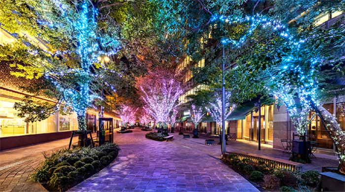 都内イルミネーションのビジュアル⑤