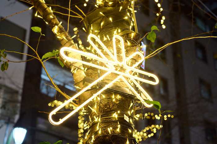 都内イルミネーションのビジュアル⑧