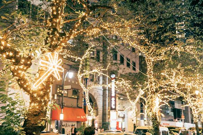 都内イルミネーションのビジュアル⑦