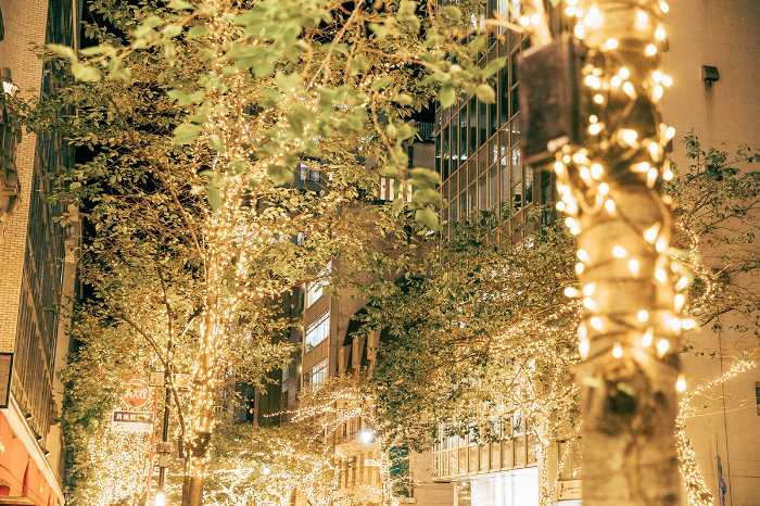 都内イルミネーションのビジュアル⑥