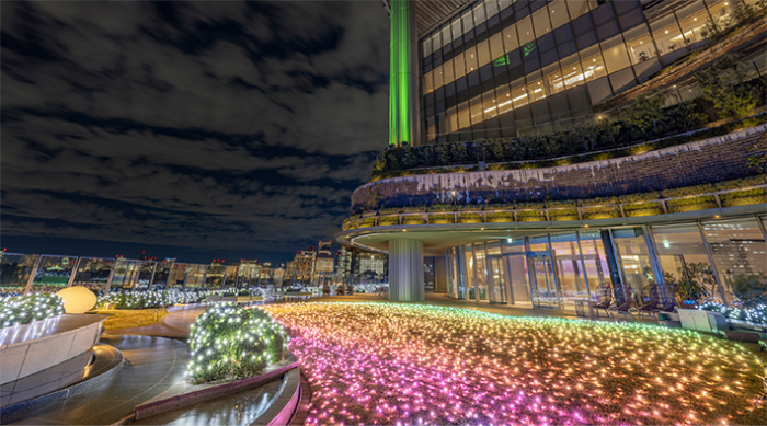 都内イルミネーションのビジュアル④