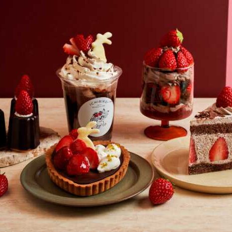cocotte-gourmet-ICHIBIKO-3-