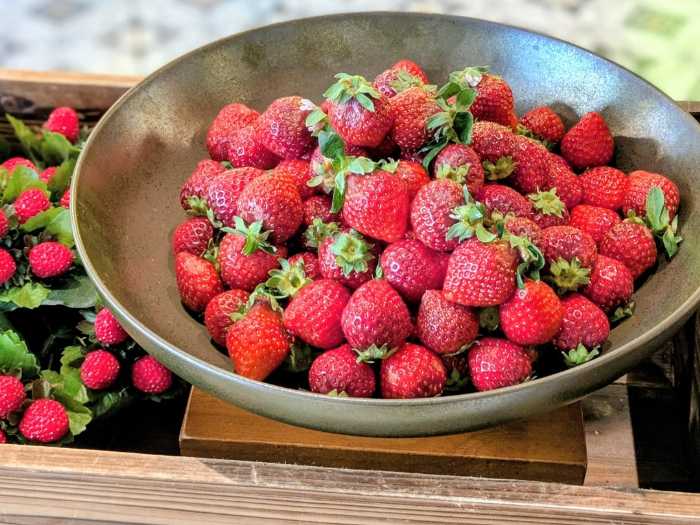 センタラグランドホテル大阪の｢ストロベリー･フェア｣⑧