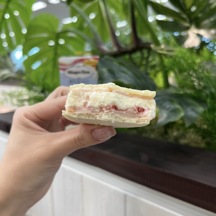 ハーゲンダッツの贅沢いちごミルク⑥