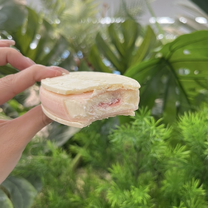 ハーゲンダッツの贅沢いちごミルク⑤