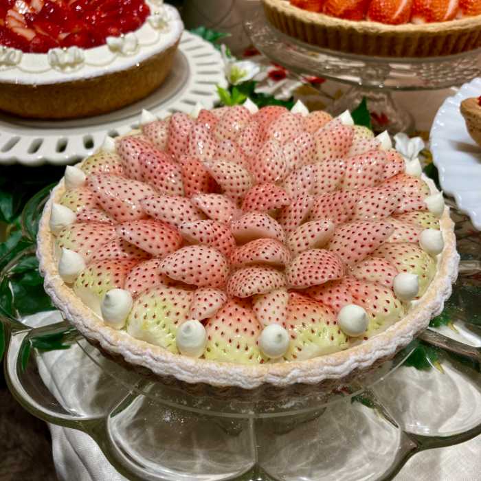 キルフェボンの特選 白イチゴ “初恋の香り”のタルト