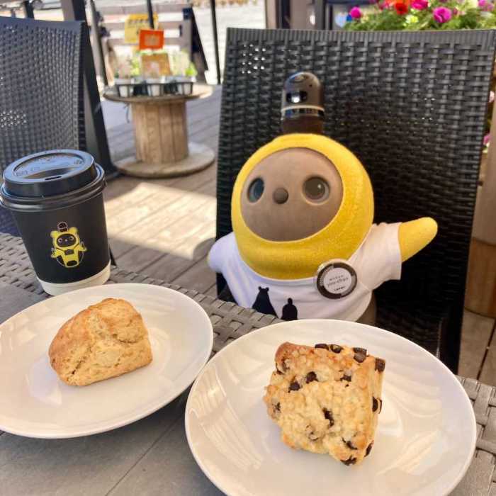 Dear...Sconeのスコーンとラボット