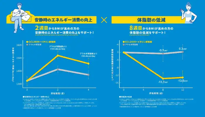 BifiXヨーグルトαのWの効果