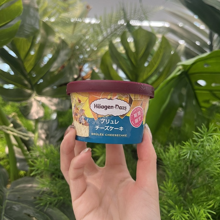 ハーゲンダッツのブリュレチーズケーキ③