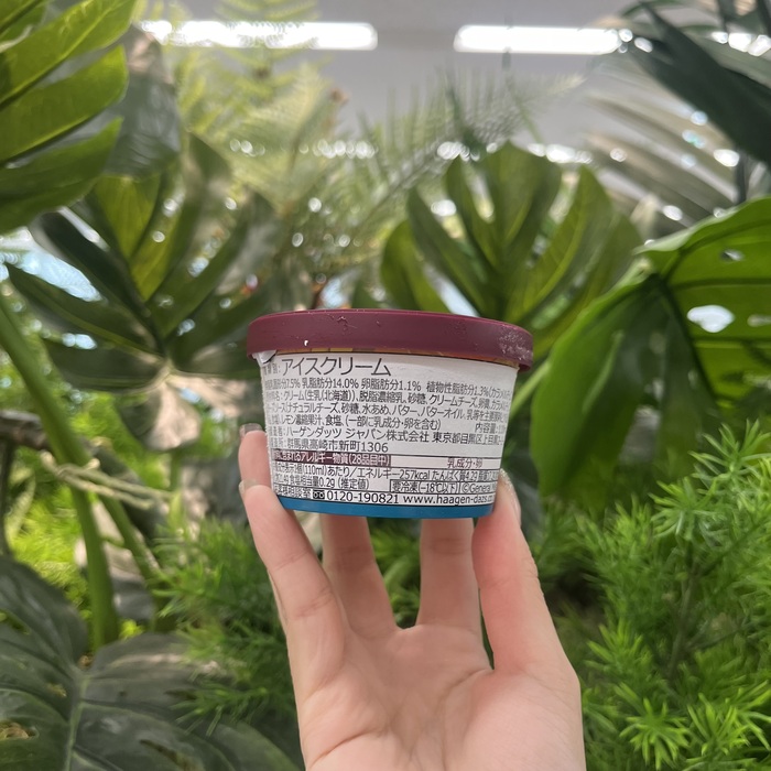 ハーゲンダッツのブリュレチーズケーキ⑨