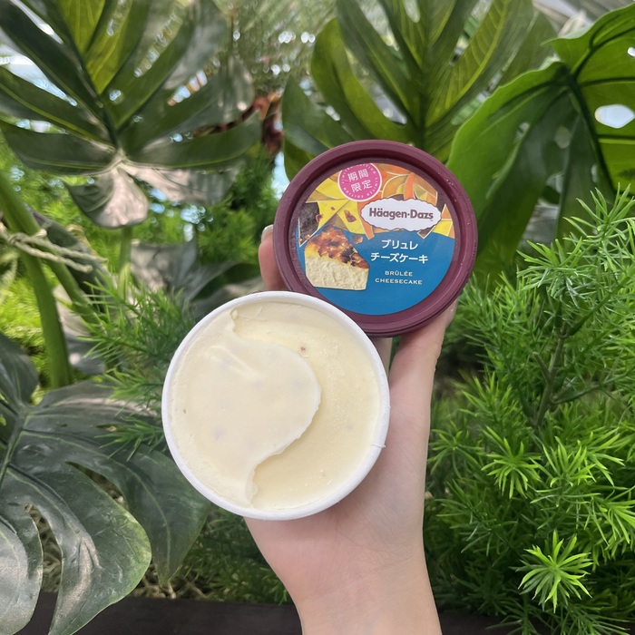 ハーゲンダッツのブリュレチーズケーキ②