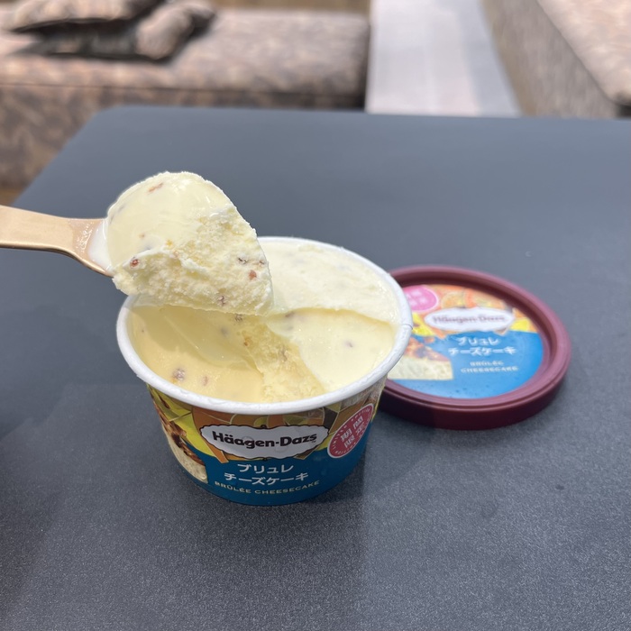 ハーゲンダッツのブリュレチーズケーキ⑥