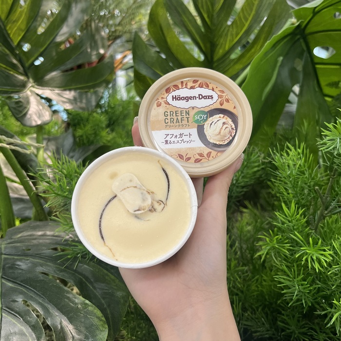 ハーゲンダッツのグリーンクラフトアフォガート⑧