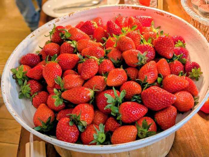 ハイアット リージェンシー 京都のアフタヌーンティーブッフェ④