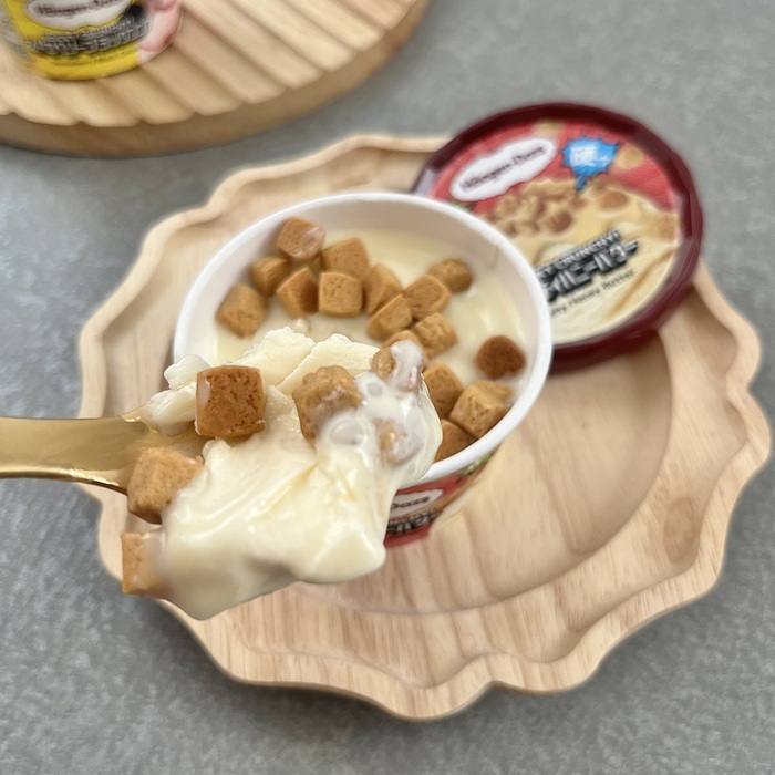 ハーゲンダッツのROCKY CRUNCHY!⑮